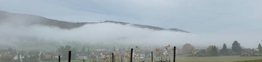 Ein Bild, das draußen, Gras, Baum, Wolke enthält. Automatisch generierte Beschreibung