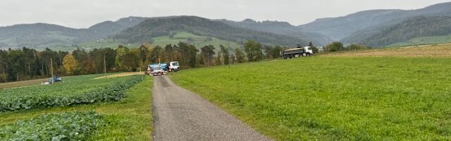 Ein Bild, das draußen, Gras, Himmel, Wolke enthält. Automatisch generierte Beschreibung