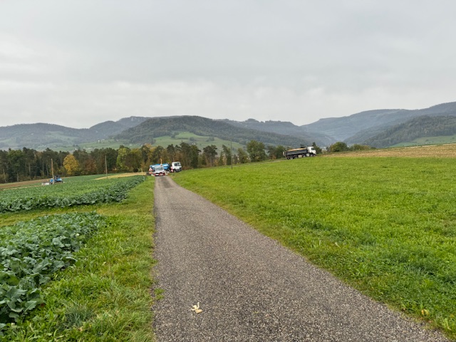 Ein Bild, das draußen, Gras, Himmel, Wolke enthält.

Automatisch generierte Beschreibung