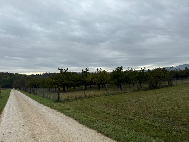 Ein Bild, das draußen, Gras, Wolke, Himmel enthält.

Automatisch generierte Beschreibung