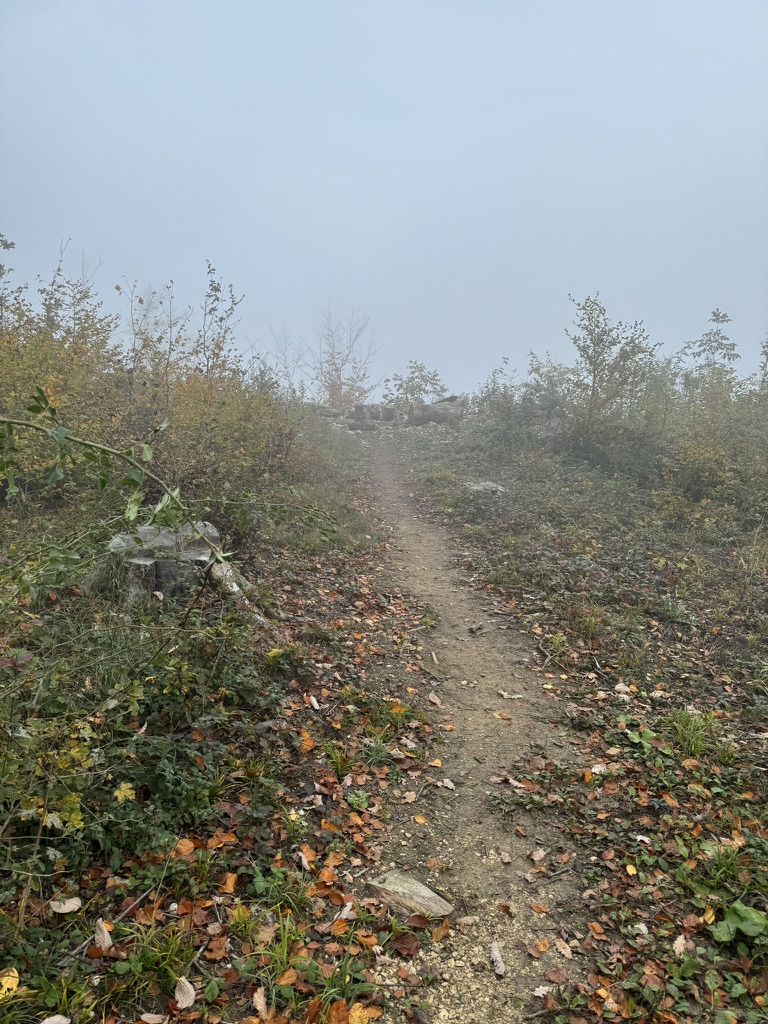 Ein Bild, das draußen, Himmel, Pflanze, Nebel enthält.

Automatisch generierte Beschreibung