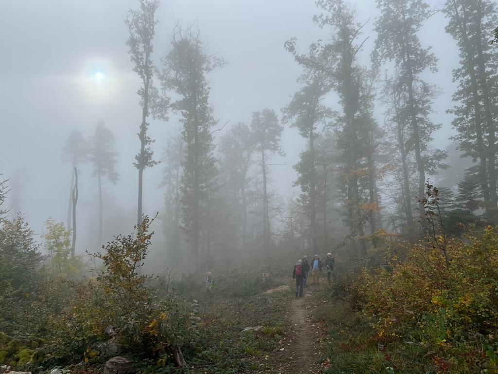 Ein Bild, das draußen, Nebel, Himmel, Natur enthält.

Automatisch generierte Beschreibung