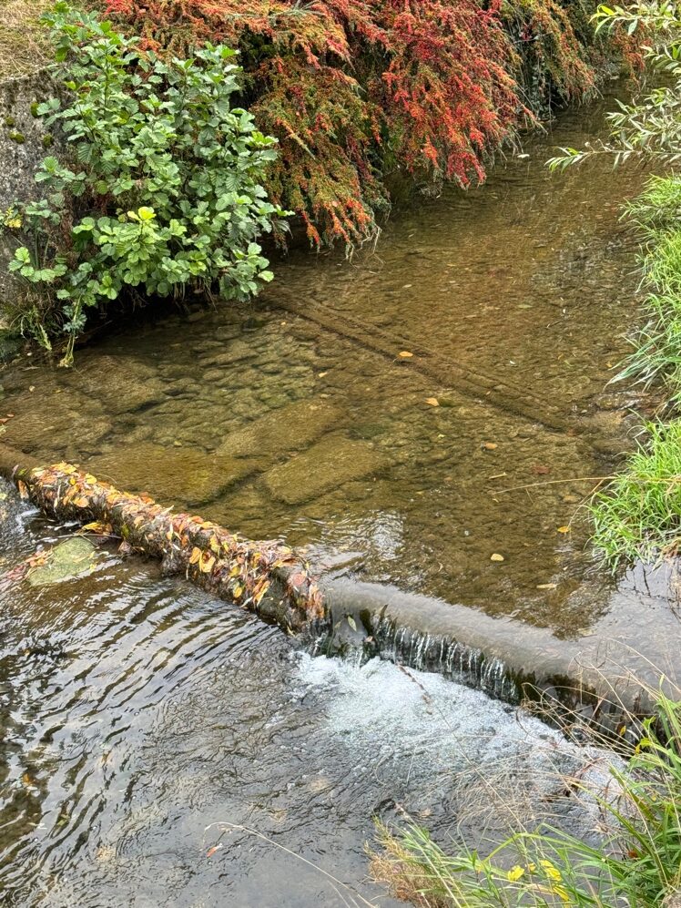 Ein Bild, das draußen, Wasser, Wasserfall, gefäßlose Landpflanze enthält.

Automatisch generierte Beschreibung