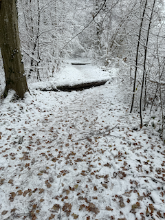 Ein Bild, das Baum, draußen, Winter, Schnee enthält.

Automatisch generierte Beschreibung