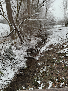 Ein Bild, das draußen, Natur, Baum, Winter enthält.

Automatisch generierte Beschreibung