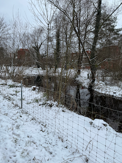 Ein Bild, das draußen, Baum, Gefrieren, Winter enthält.

Automatisch generierte Beschreibung