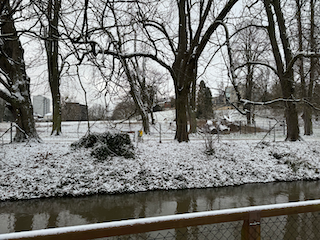 Ein Bild, das draußen, Baum, Winter, Niederschlag enthält.

Automatisch generierte Beschreibung