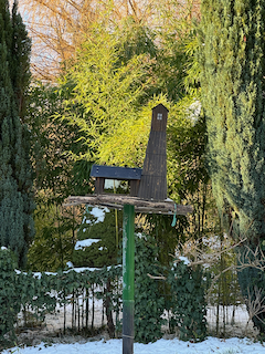 Ein Bild, das Baum, draußen, Winter, Pflanze enthält.

Automatisch generierte Beschreibung