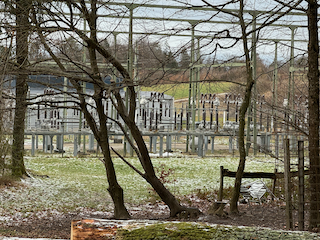 Ein Bild, das draußen, Baum, Gras, Winter enthält.

Automatisch generierte Beschreibung