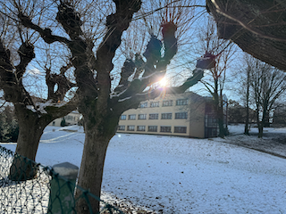 Ein Bild, das draußen, Baum, Himmel, Schnee enthält.

Automatisch generierte Beschreibung