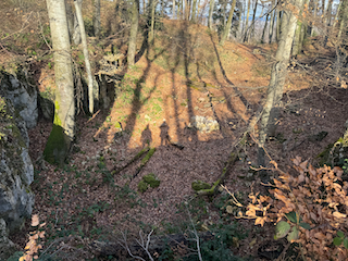 Ein Bild, das draußen, Baum, Natur, Wald enthält.

Automatisch generierte Beschreibung