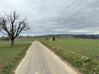 Ein Bild, das draußen, Gras, Himmel, Wolke enthält.

Automatisch generierte Beschreibung