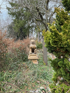 Ein Bild, das draußen, Gras, Pflanze, Garten enthält.

Automatisch generierte Beschreibung