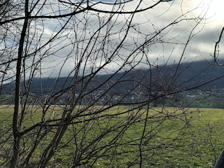 Ein Bild, das draußen, Himmel, Gras, Wolke enthält.

Automatisch generierte Beschreibung