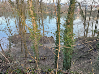 Ein Bild, das draußen, Wasser, Natur, Himmel enthält.

Automatisch generierte Beschreibung