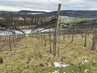 Ein Bild, das draußen, Wolke, Gras, Himmel enthält.

Automatisch generierte Beschreibung