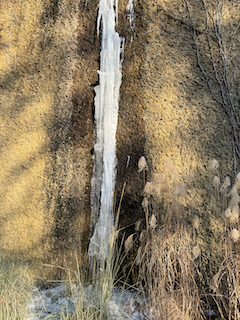 Ein Bild, das Wasserfall, draußen, Wasser, Pflanze enthält.

Automatisch generierte Beschreibung