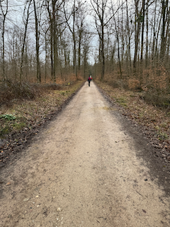 Ein Bild, das draußen, Baum, Gelände, Himmel enthält.

Automatisch generierte Beschreibung