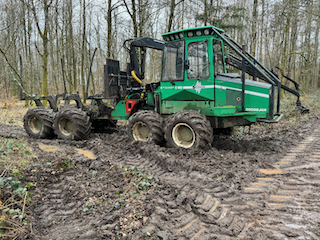 Ein Bild, das draußen, Baum, Gelände, Reifen enthält.

Automatisch generierte Beschreibung