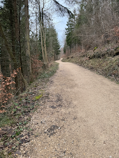 Ein Bild, das draußen, Baum, Himmel, Gelände enthält.

Automatisch generierte Beschreibung