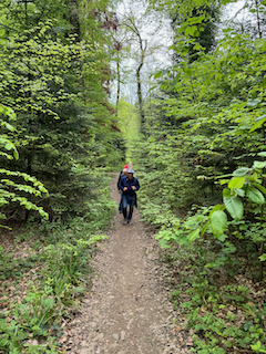 Ein Bild, das draußen, Baum, Wandern, Dschungel enthält.

Automatisch generierte Beschreibung