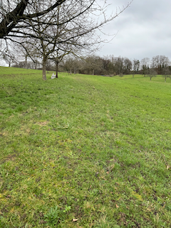 Ein Bild, das draußen, Feld, Himmel, Baum enthält.

Automatisch generierte Beschreibung