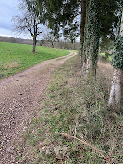 Ein Bild, das draußen, Gras, Himmel, Gelände enthält.

Automatisch generierte Beschreibung