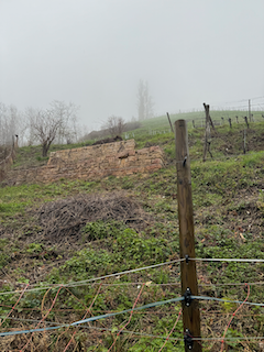 Ein Bild, das draußen, Gras, Himmel, Pflanze enthält.

Automatisch generierte Beschreibung