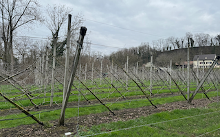 Ein Bild, das draußen, Himmel, Gras, Wolke enthält. Automatisch generierte Beschreibung