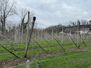 Ein Bild, das draußen, Himmel, Gras, Wolke enthält.

Automatisch generierte Beschreibung