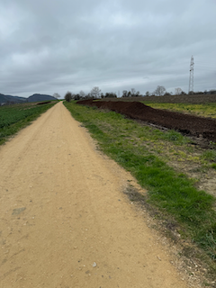 Ein Bild, das draußen, Himmel, Gras, Wolke enthält.

Automatisch generierte Beschreibung