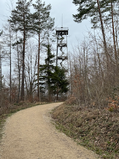 Ein Bild, das draußen, Himmel, Wald, Pfad enthält.

Automatisch generierte Beschreibung