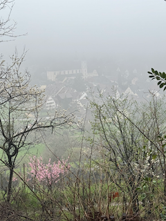 Ein Bild, das draußen, Nebel, Baum, Natur enthält.

Automatisch generierte Beschreibung