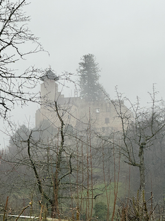 Ein Bild, das draußen, Nebel, Natur, Winter enthält.

Automatisch generierte Beschreibung