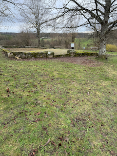 Ein Bild, das Gras, draußen, Baum, Himmel enthält.

Automatisch generierte Beschreibung