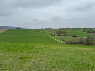 Ein Bild, das Gras, draußen, Feld, Grasland enthält.

Automatisch generierte Beschreibung