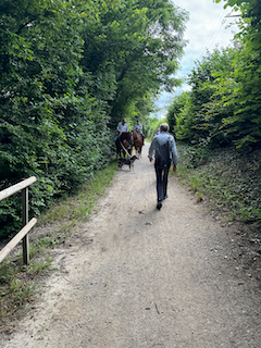 Ein Bild, das draußen, Baum, Gelände, Wandern enthält.

Automatisch generierte Beschreibung