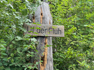 Ein Bild, das draußen, Baum, Schild, Pflanze enthält.

Automatisch generierte Beschreibung