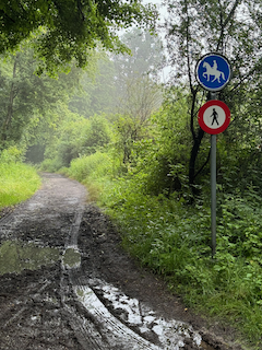 Ein Bild, das draußen, Baum, Schild, Verkehrsschild enthält.

Automatisch generierte Beschreibung