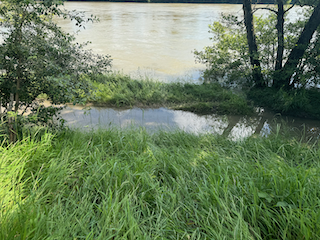 Ein Bild, das draußen, Baum, Wasser, Pflanze enthält.

Automatisch generierte Beschreibung