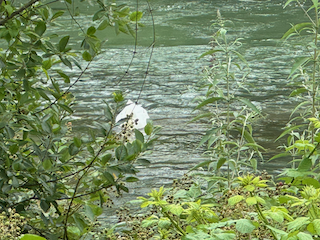 Ein Bild, das draußen, Baum, Wasser, See enthält.

Automatisch generierte Beschreibung