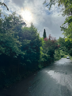 Ein Bild, das draußen, Baum, Wolke, Himmel enthält.

Automatisch generierte Beschreibung