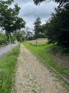 Ein Bild, das draußen, Gras, Baum, Wolke enthält.

Automatisch generierte Beschreibung