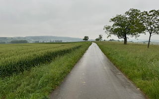 Ein Bild, das draußen, Gras, Himmel, Pflanze enthält. Automatisch generierte Beschreibung