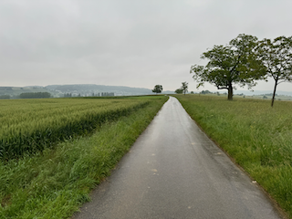 Ein Bild, das draußen, Gras, Himmel, Pflanze enthält.

Automatisch generierte Beschreibung