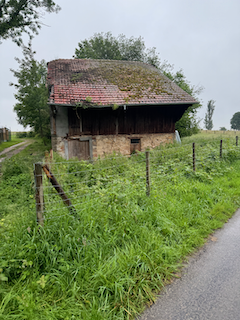 Ein Bild, das draußen, Gras, Pflanze, Himmel enthält.

Automatisch generierte Beschreibung