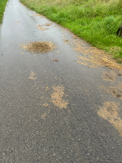 Ein Bild, das draußen, Gras, Straße, Pflanze enthält.

Automatisch generierte Beschreibung