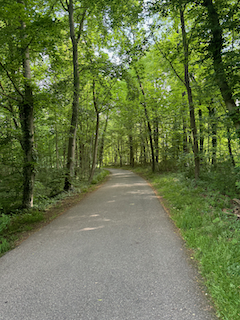 Ein Bild, das draußen, Gras, Straße, Pflanze enthält.

Automatisch generierte Beschreibung