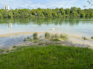 Ein Bild, das draußen, Gras, Wasser, Baum enthält.

Automatisch generierte Beschreibung