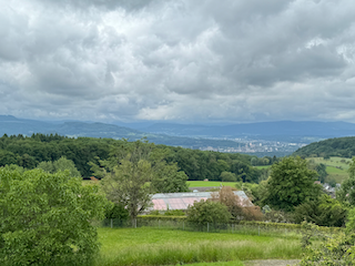 Ein Bild, das draußen, Gras, Wolke, Baum enthält.

Automatisch generierte Beschreibung